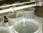 conical unit