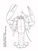 lobster