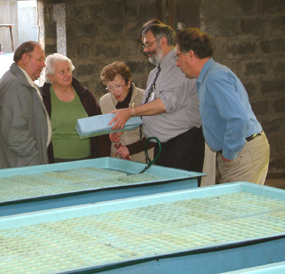Lobster Hatchery