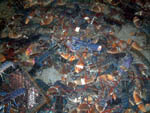 lobster pond